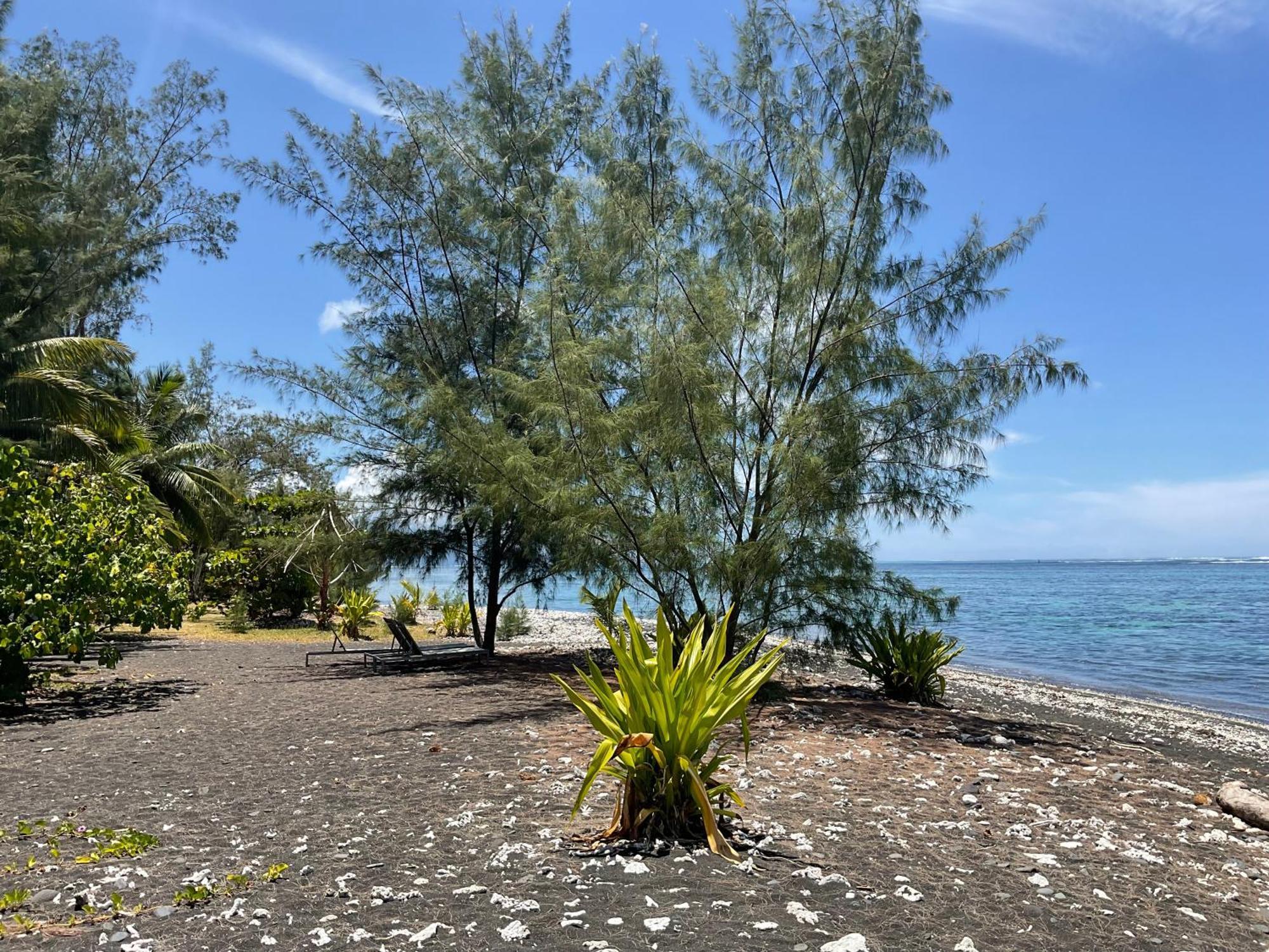 Manomano Lodge Papara Buitenkant foto